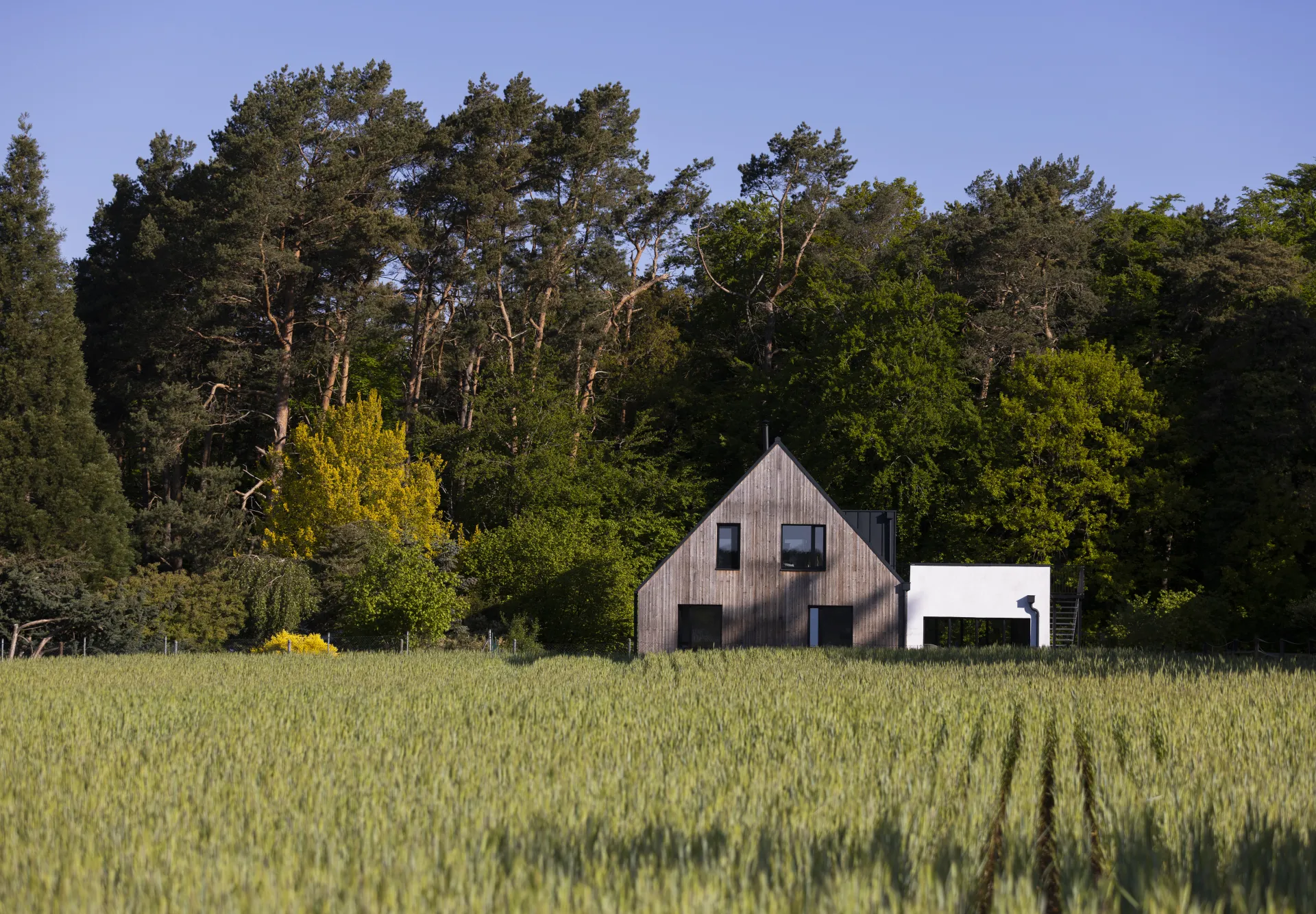 Das Haus am Feldrand